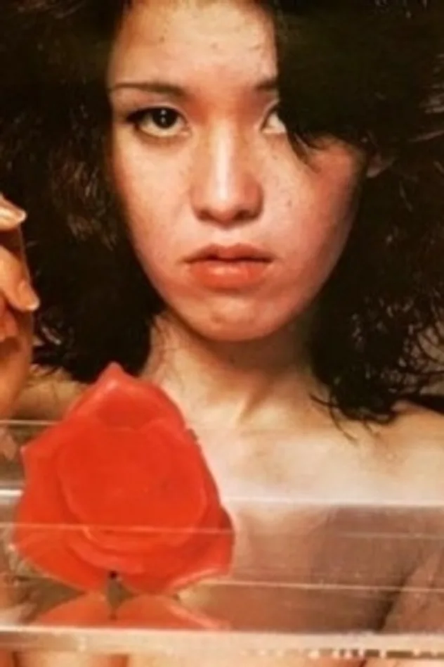 芹明香 fotoğrafı