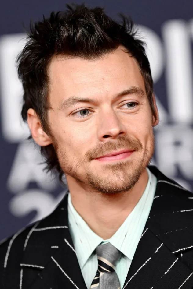 Harry Styles fotoğrafı