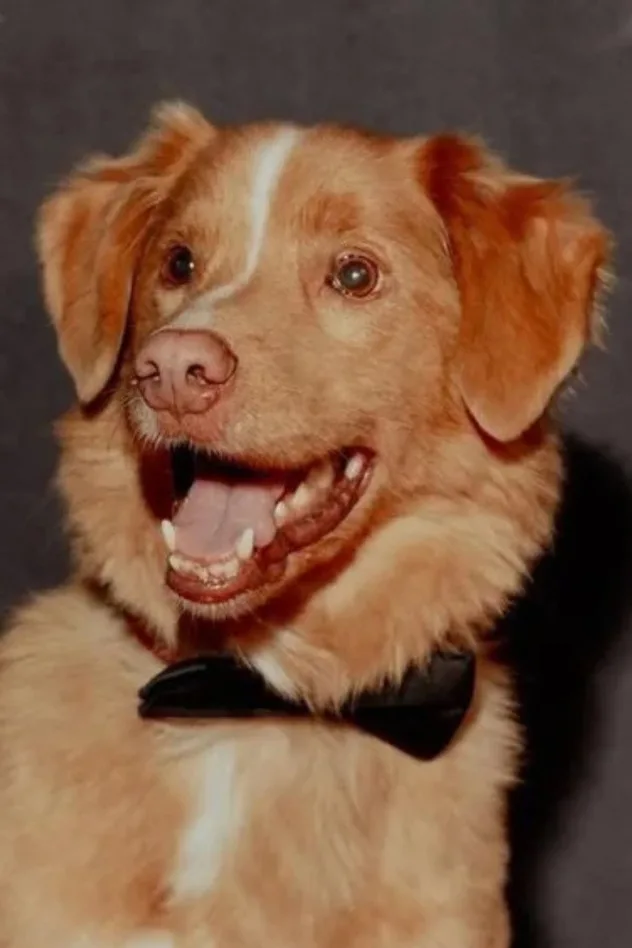 Indy fotoğrafı