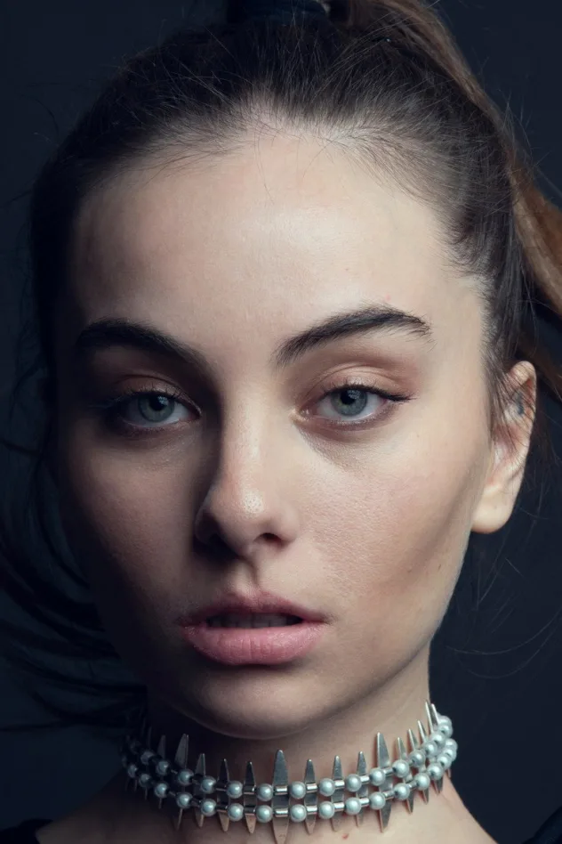Cover image for Mina Derman