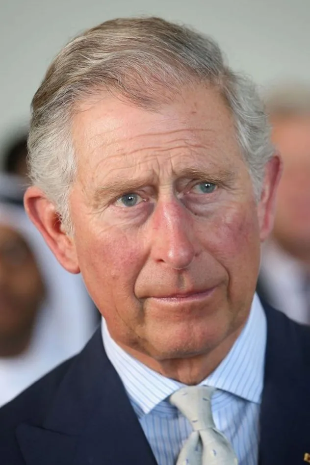 King Charles III of the United Kingdom fotoğrafı