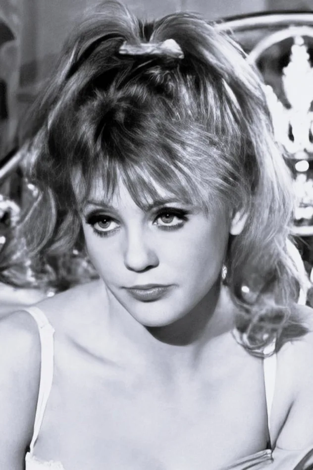 Cover image for Vanessa Howard