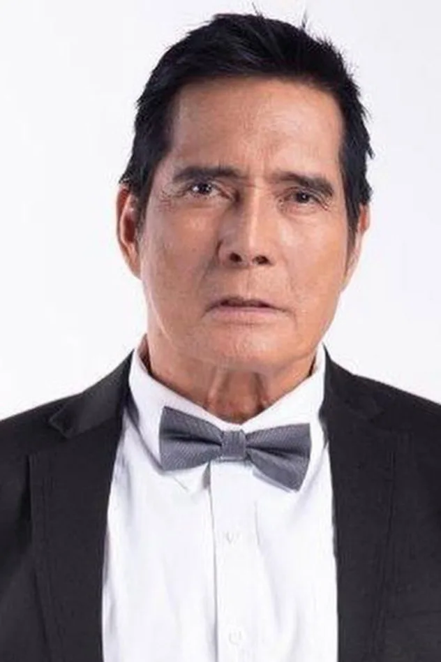 Обложка для Roi Vinzon