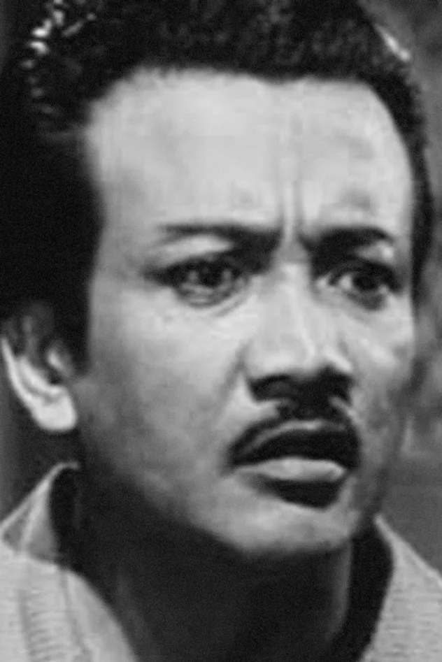 Mahmud Jun için kapak görseli