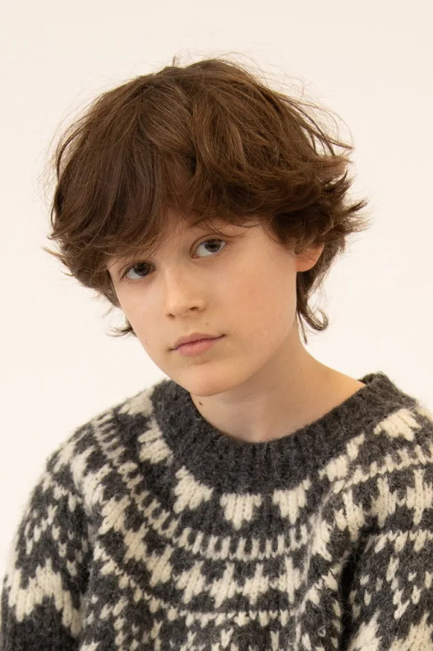 Léopold Lafontaine photo