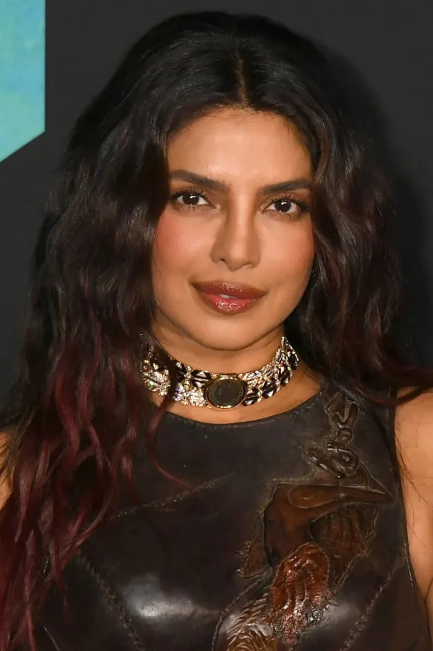 Priyanka Chopra Jonas fotoğrafı