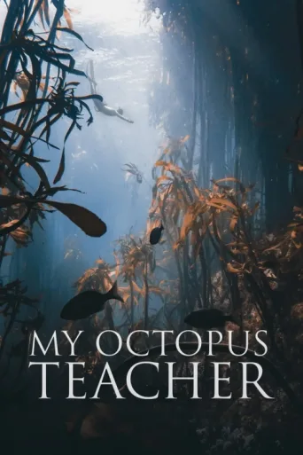 Póster de Ahtapottan Öğrendiklerim