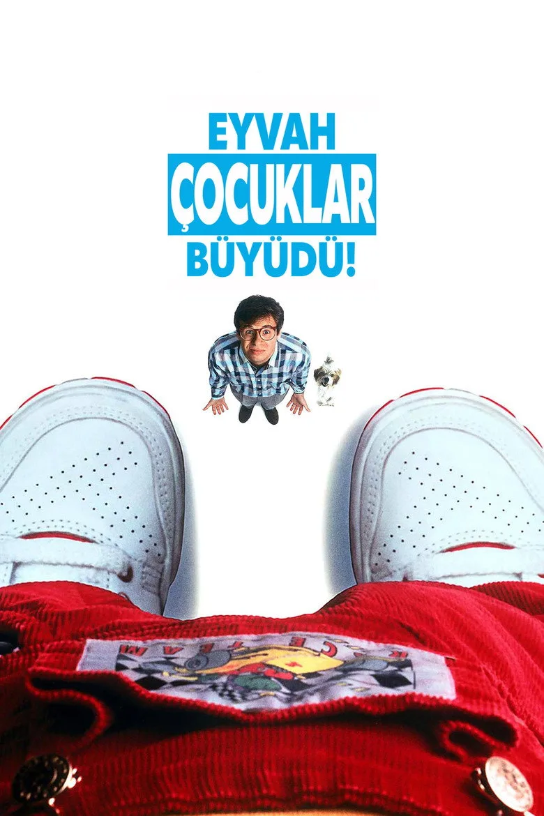 Credit poster