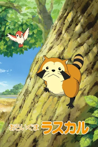 Постер Rascal the Raccoon