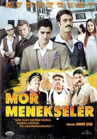 Mor Menekşeler afişi