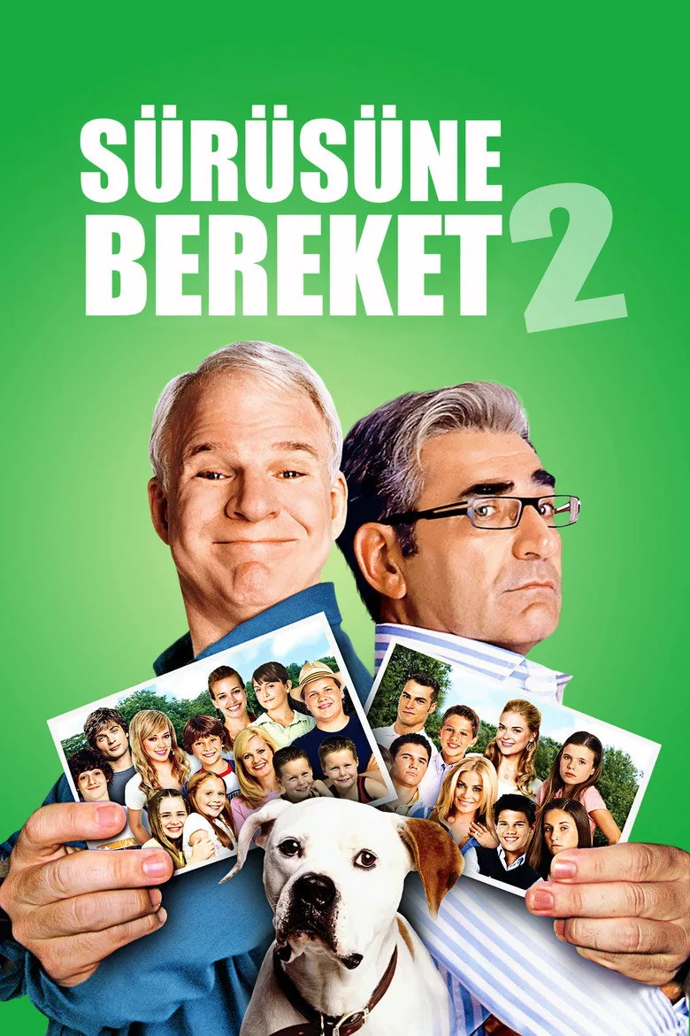 Sürüsüne Bereket 2 posteri