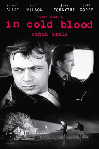 Постер Soğukkanlı