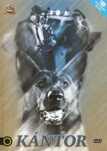Постер Kántor