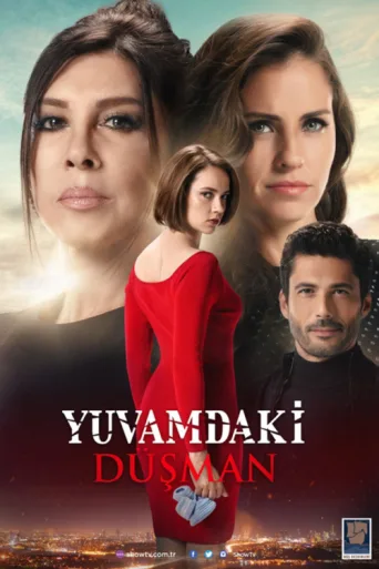 Póster de Yuvamdaki Düşman