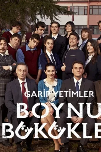 Poster for Boynu Bükükler