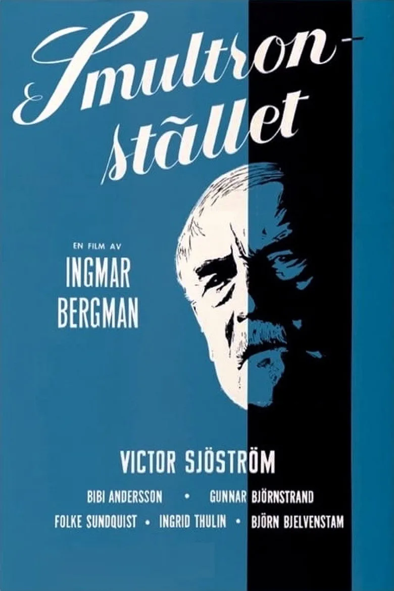 Yaban Çilekleri poster