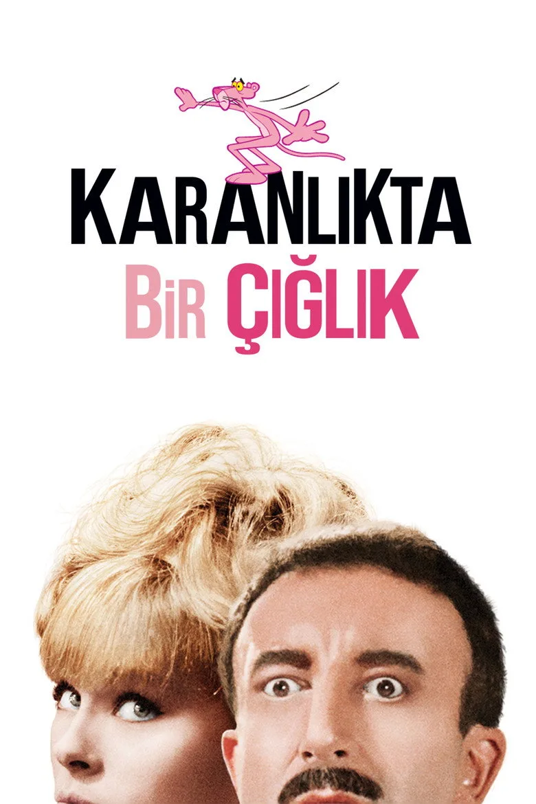 Karanlıkta Bir Çığlık poster