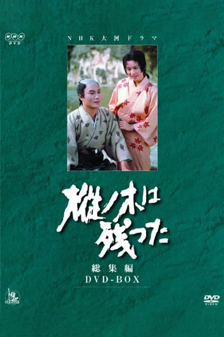 постер Mominoki wa Nokotta