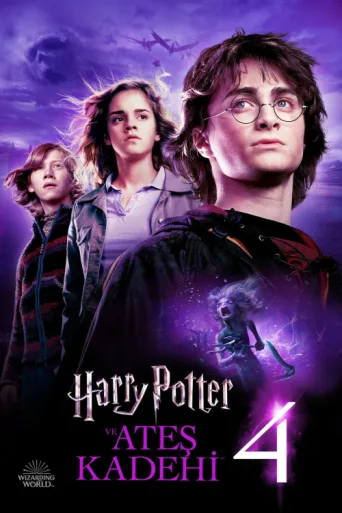 Póster de Harry Potter ve Ateş Kadehi