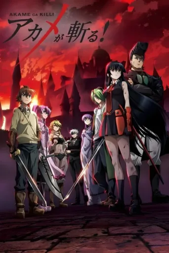 Póster de Akame ga Kill!