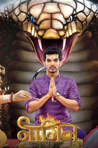 Póster de Naagin