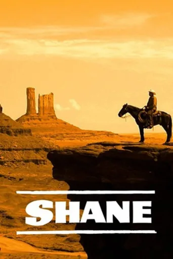 Постер Shane