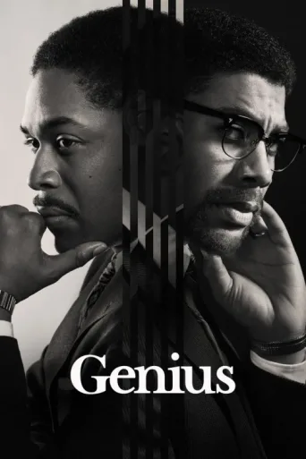 Póster de Genius