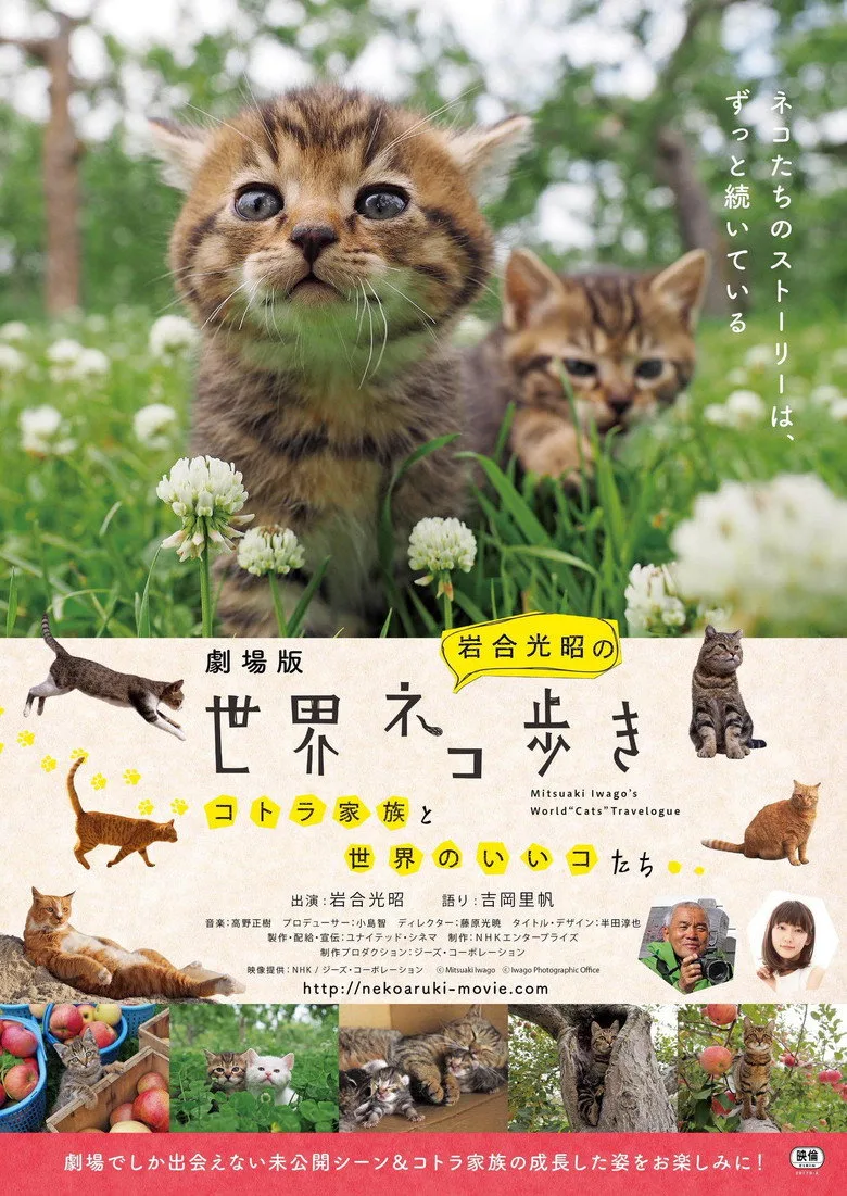 Mitsuaki Iwago's World “Cats” Travelogue posteri