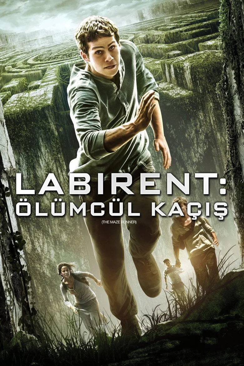 Credit poster