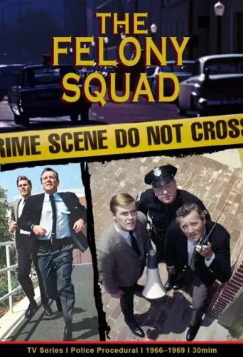 ملصق Felony Squad