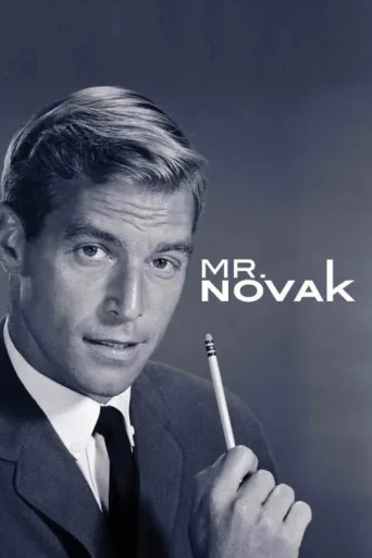 Póster de Mr. Novak