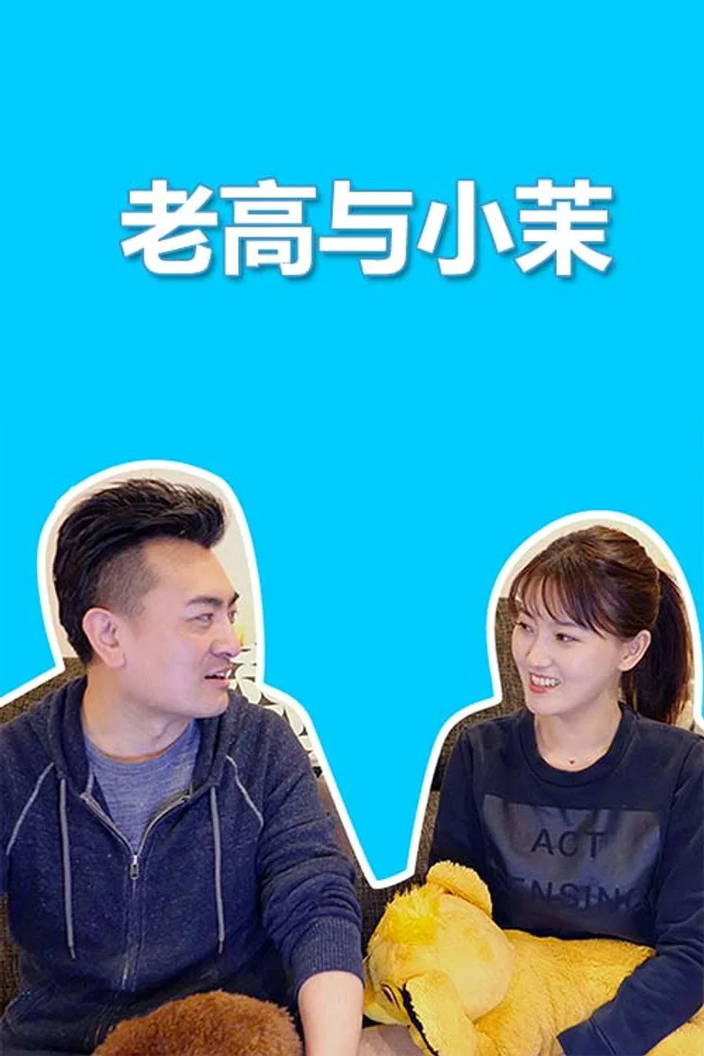 Mr & Mrs Gao posteri