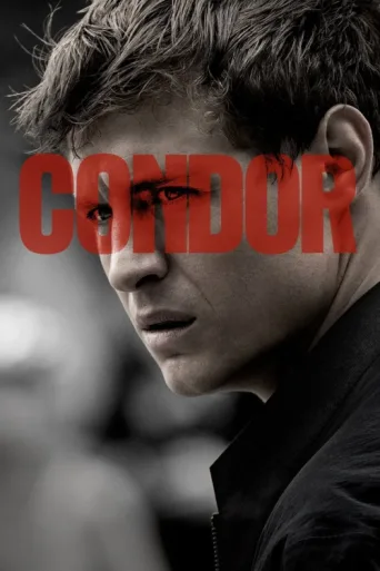 Постер Condor