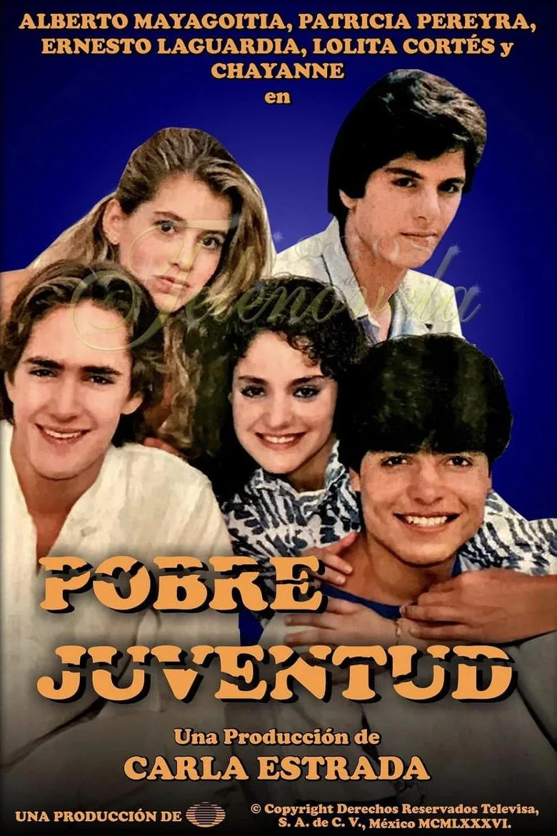Credit poster