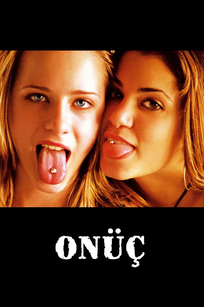 Onüç poster