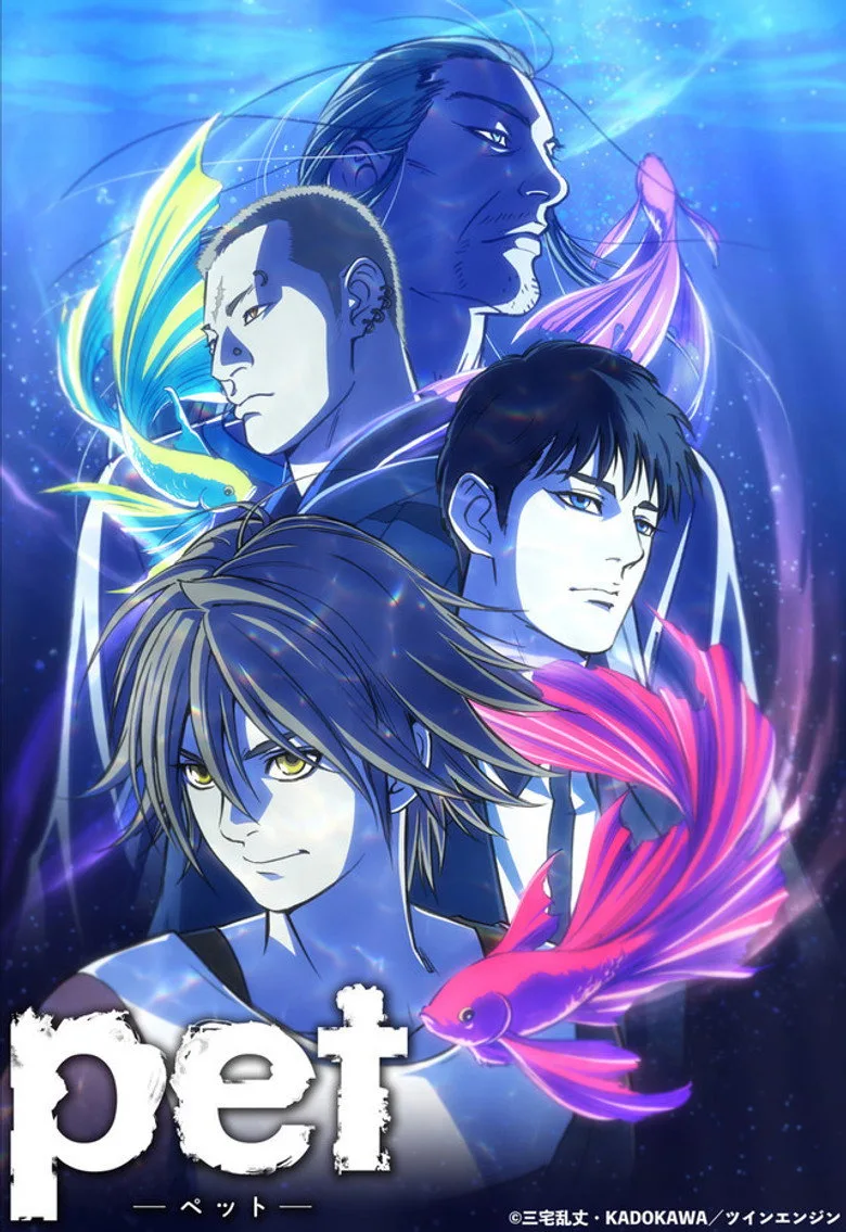 Credit poster