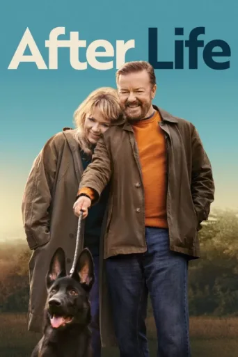 After Life afişi