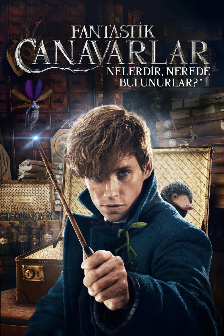 Credit poster