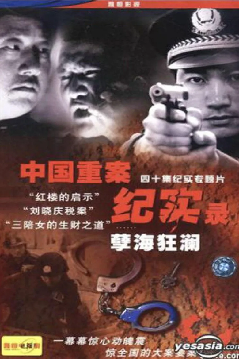 中国重案纪实录 posteri