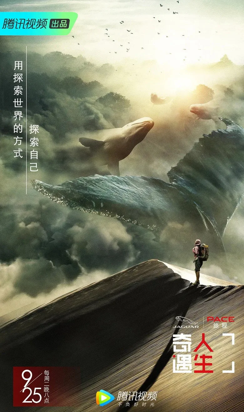 Credit poster