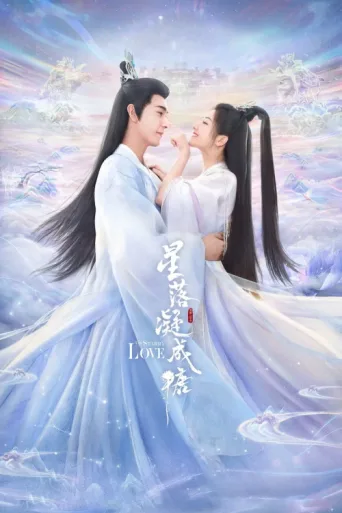 Poster for The Starry Love