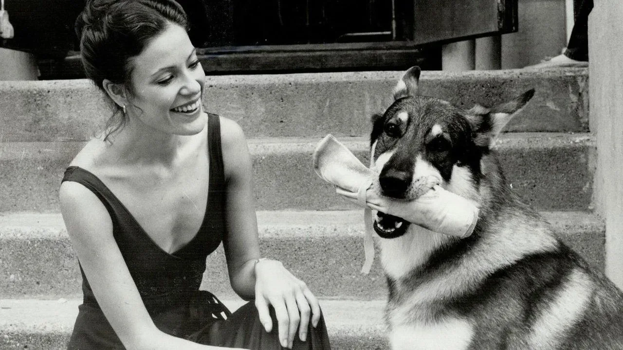 The Littlest Hobo için arka plan görseli
