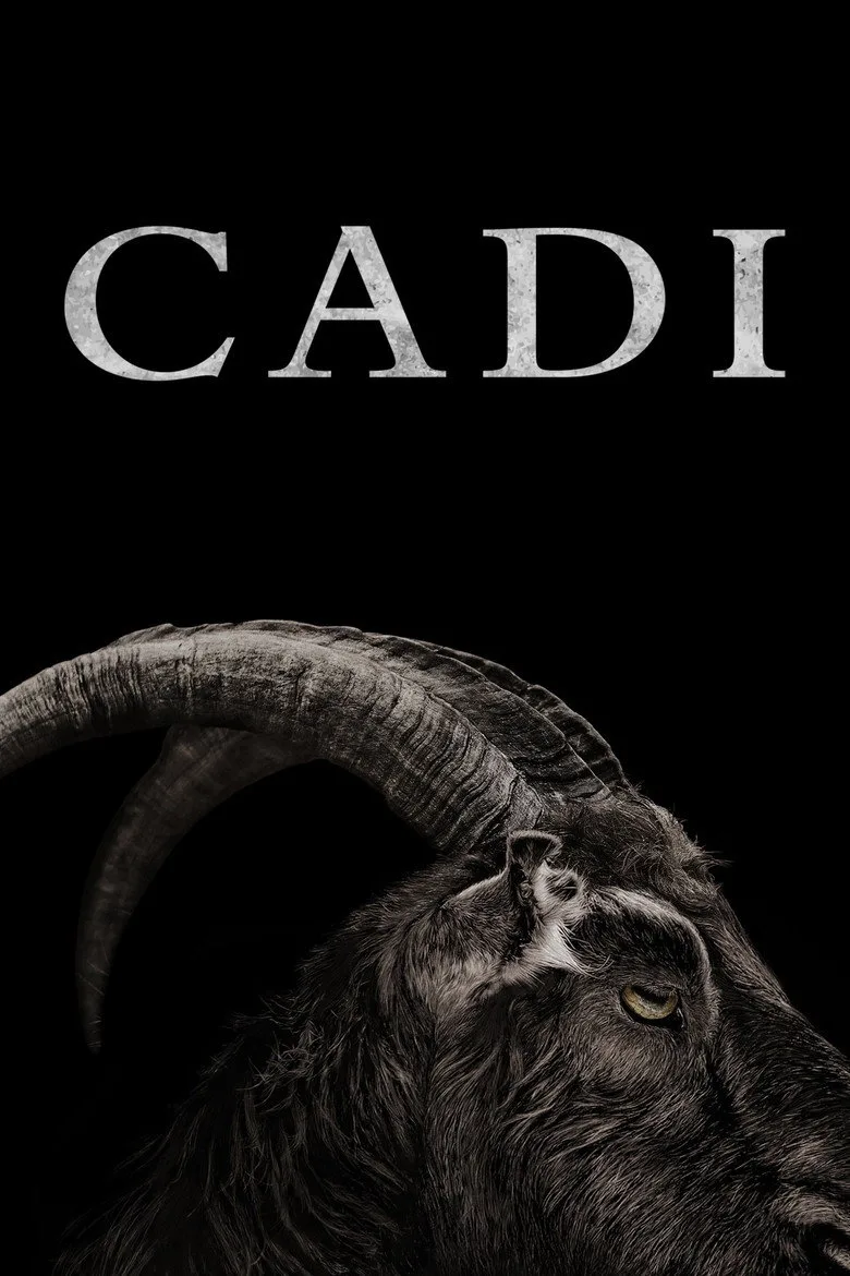 Credit poster