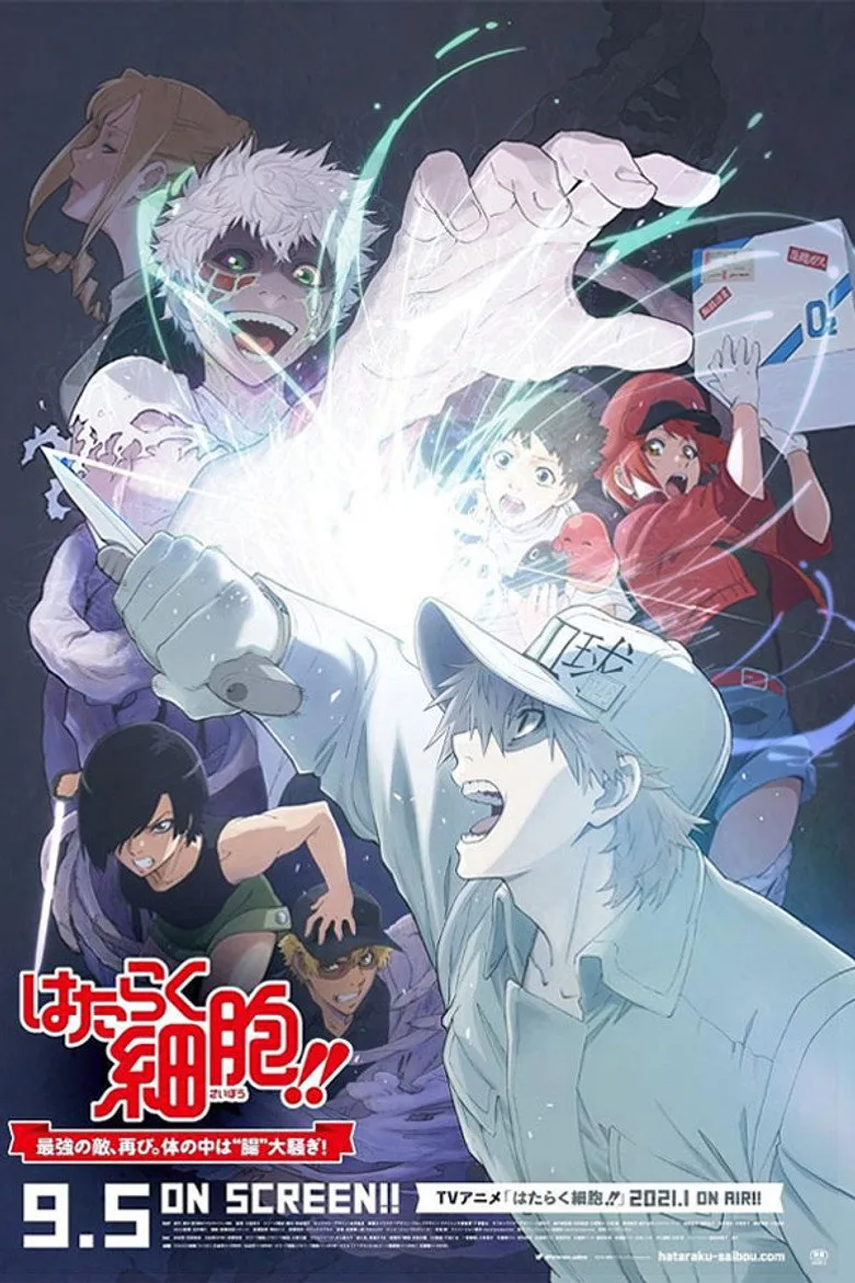 Credit poster