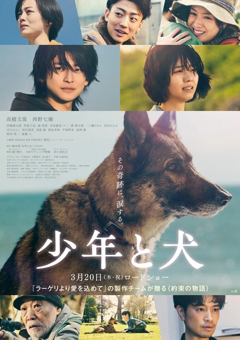 Credit poster