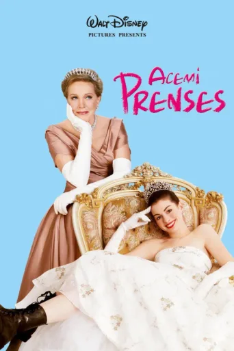 ملصق Acemi Prenses
