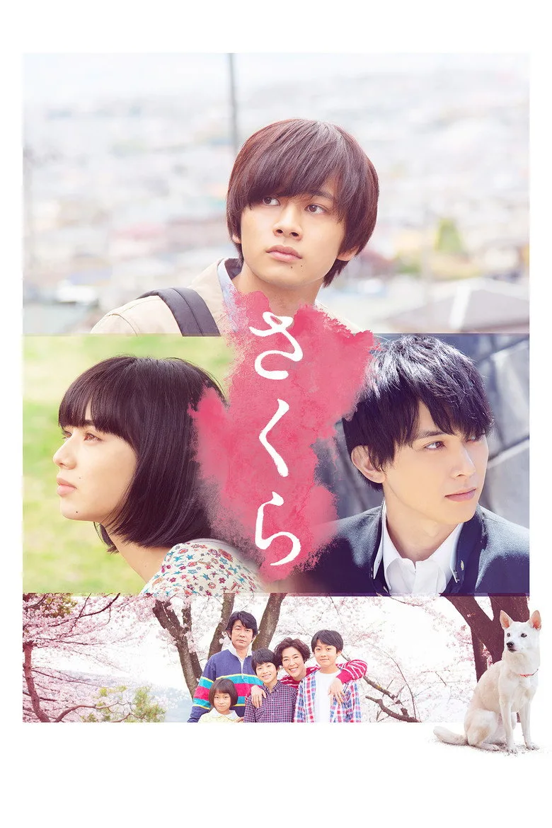 Credit poster