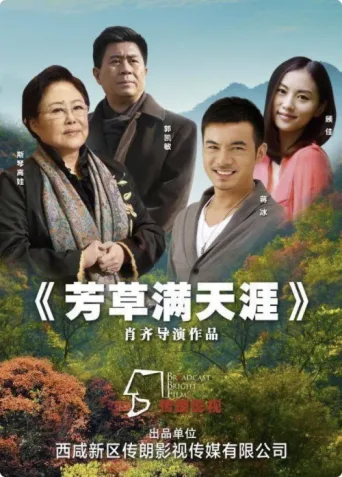 Póster de 芳草满天涯