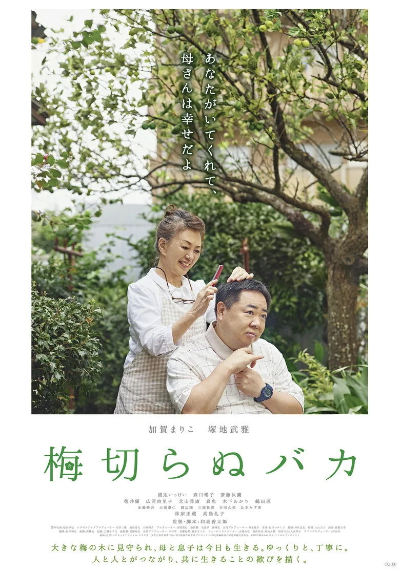 Credit poster