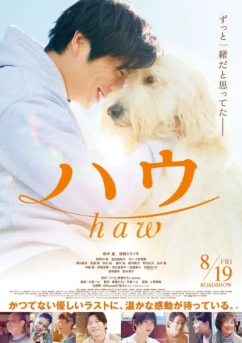 Постер Haw